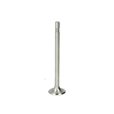Kuva FRECCIA R6691/R Pakoventtiili 24,45 VOLKSWAGEN: Passat B6 Variant, Caddy 3, Jetta SKODA: Octavia II Hatchback
