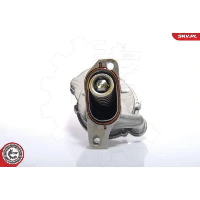 Kuva ESEN SKV 18SKV005 Alipainepumppu VOLKSWAGEN: TRANSPORTER 4, 4 Bus