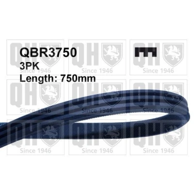 Kuva QUINTON HAZELL QBR3750 Moniurahihna 750 3 RENAULT: CLIO 2, TWINGO 1, LAND ROVER: Freelander I SUV, DACIA: Sandero