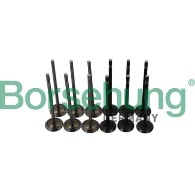 Kuva Borsehung B19160 Imuventtiili