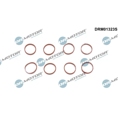 Kuva DR.MOTOR AUTOMOTIVE DRM01323S Tiivistesarja, Imusarja
