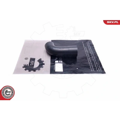 Kuva Ahdinletku BMW 3 [E46], Touring [E46] OE 11612248634