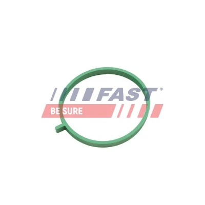 Kuva FAST FT49472 Imusarjan Tiivisteet Keskellä
