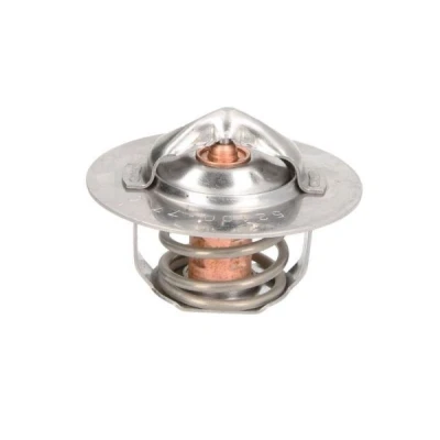 Kuva THERMOTEC D2DE002TT Termostaatti 77