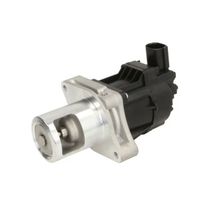 Kuva EGR venttiili DELPHI EG10479 12B1