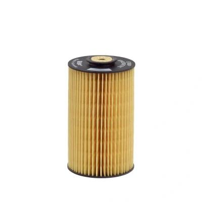 Kuva HENGST FILTER E10KP D10 Polttoainesuodatin Suodatinpanos