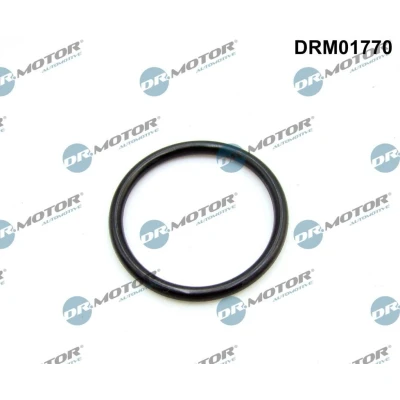 Kuva DR.MOTOR AUTOMOTIVE DRM01770 Imusarjan Tiivisteet FIAT: Ducato III Bussi, Van, Flatbed Kuorma auto / Alusta, FORD: Ranger Mk3