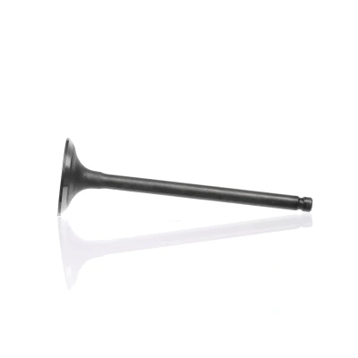 Kuva Imuventtiili, Imupuoli MITSUBISHI OE 2221133000, MD127840