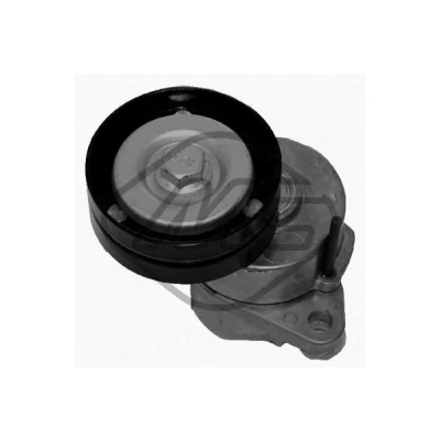 Kuva Hihnankiristin, moniurahihna BUICK, CADILLAC, CHEVROLET, DAEWOO, LADA, LOTUS, OPEL OE 1340 541, 544, 24412292