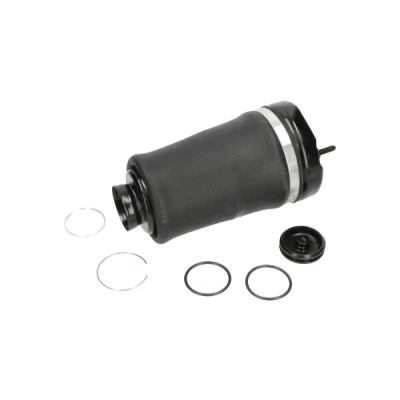 Kuva Ilmajousi, jousitus KAVO PARTS SAS 10004