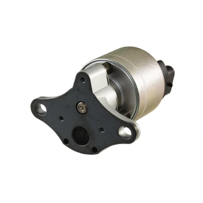 Kuva HELLA 6NU 010 171 601 EGR Venttiili Elektroninen Tiivisteillä OPEL: Corsa B Hatchback, Vectra Farmari, Sedan