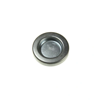 Kuva DT Spare Parts 2.10193 Kierretulppa, kampikammio