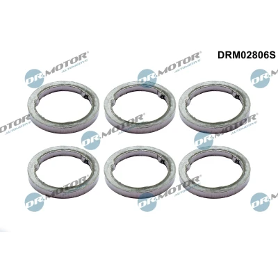 Kuva DR.MOTOR AUTOMOTIVE DRM02806S Tiivistesarja, pakosarja