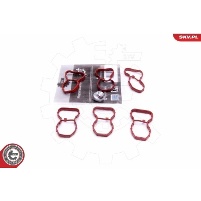 Kuva Korjaussarja, imusarjamoduuli BMW OE 11617811909, 11618507335