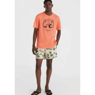 Kuva O&#039;Neill CALI Uimashortsit, Koko: XS, Beige venice beach