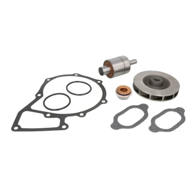 Kuva DT Spare Parts 4.90921 Korjaussarja, vesipumppu