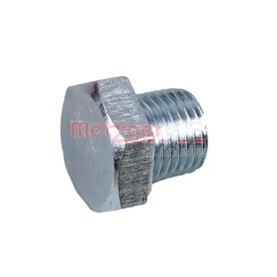 Kuva METZGER 8030092 Kierretulppa 1/4&quot; Teräs 19 ilman tiivisterengasta
