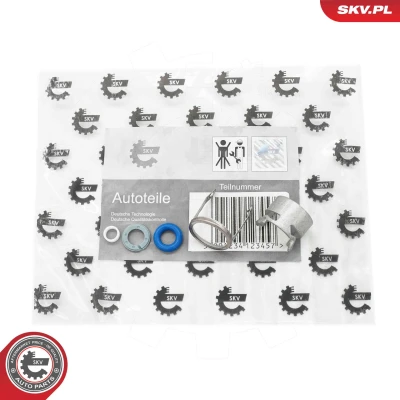 Kuva DR.MOTOR AUTOMOTIVE DRM01373 Korjaussarja, Ruiskutussuutin VOLKSWAGEN: Passat B6 Variant, GOLF 6, SKODA: Octavia II Hatchback
