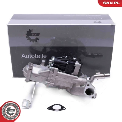 Kuva ESEN SKV 14SKV250 EGR Venttiili VOLVO: V70 3, V50, V60 I, FORD: MONDEO 4 Turnier, 4, S Max Mk1, PEUGEOT: 508 I Sedan, Expert II Van