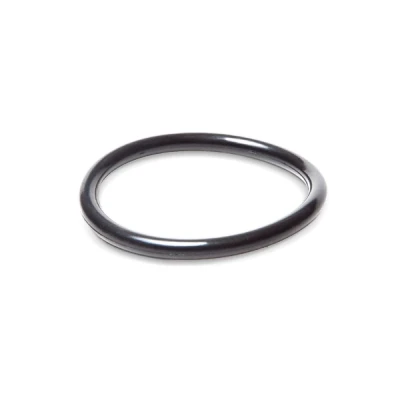 Kuva JP GROUP 1514550100 Termostaatin Tiiviste FORD: Sierra Mk1 Hatchback, FIESTA 3, Escort 5