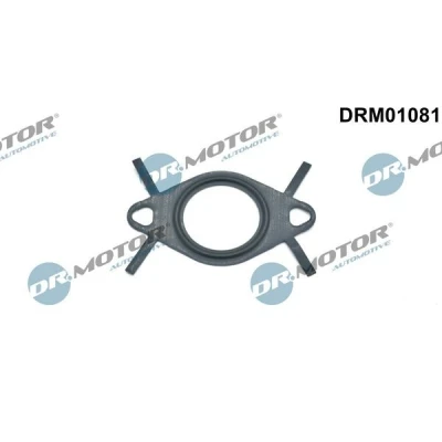 Kuva DR.MOTOR AUTOMOTIVE DRM01081 Tiiviste, EGR Venttiilin Johdin
