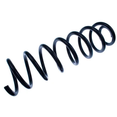 Kuva Jousi (auton jousitus), Taka akseli RENAULT MEGANE II OE 8200245681, 8200276539