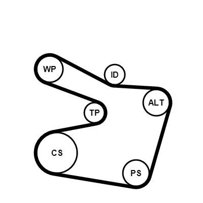 Kuva CONTITECH CT947K2 Jakohihnasarja 166 ALFA ROMEO: 156 Sedan, Sportwagon, 146, FIAT: Punto II Hatchback, Stilo Hatchback
