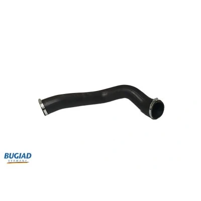 Kuva BUGIAD 82305 Ahdinletku Kuorilla