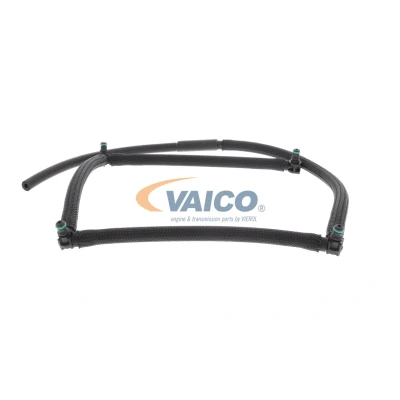Kuva VAICO V42 0858 Letku, Polttoaineen Ylivuoto biodieselille PEUGEOT: 307 Farmari