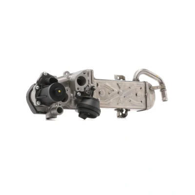 Kuva DRI 717730099 EGR Moduli (Pakokaasukierrätys) Tiivisteillä, Pakokaasukierrätys jäähdyttimellä VOLKSWAGEN: Passat B7 Variant, Caddy 3, Golf 6