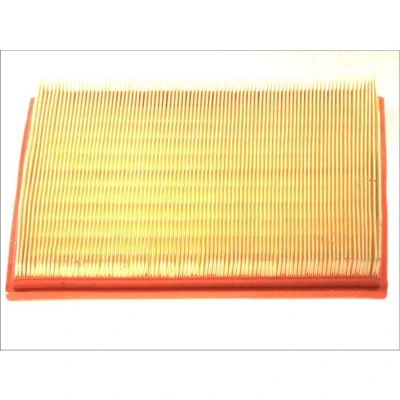 Kuva FILTRON AP 030/2 Ilmansuodatin 33 261 276 Suodatinpanos BMW: 5 Touring, Sedan, X5
