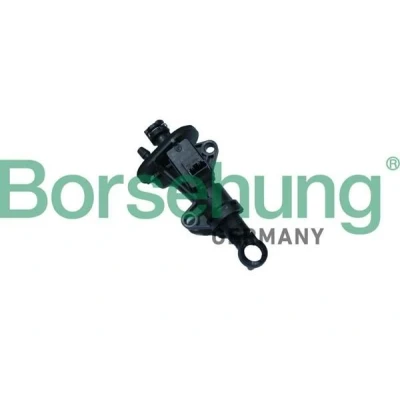 Kuva Borsehung B17870 Kytkin Pääsylinteri VOLKSWAGEN: Passat B8 Variant, Golf 7, 7 Variant