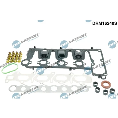 Kuva DR.MOTOR AUTOMOTIVE DRM16240S Tiivistesarja Sylinterikansi FORD: FOCUS 3, 3 Turnier, MONDEO 4 CITROËN: C4 II Hatchback, C8 II, C5