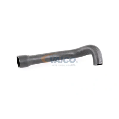 Kuva VAICO V24 0719 Ahdinletku Kumi kudosvahvikkeella Q+, original equipment manufacturer quality
