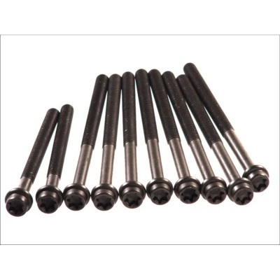 Kuva ELRING 027.850 Kannen Pultit Torx, sisä FORD: Focus 2 Kombi, S Max Mk1, FIESTA 4