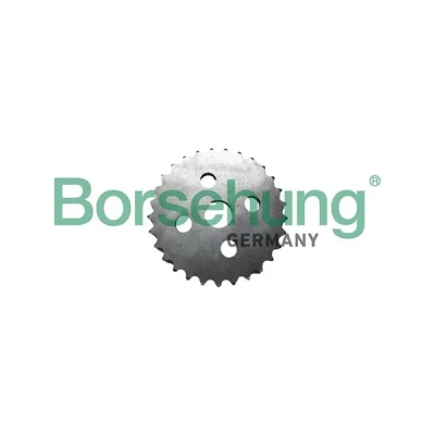 Kuva Öljypumppu Borsehung B12731 audi OE 06E109570B