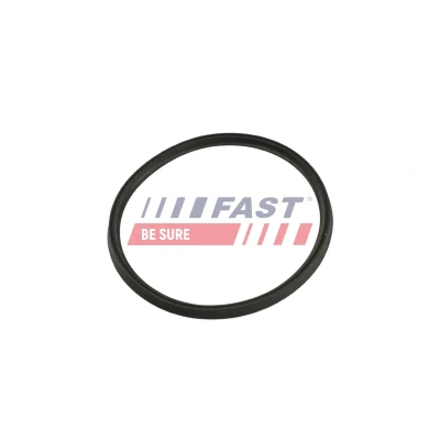 Kuva FAST FT48965 Tiivisterengas, ahtoilmaletku