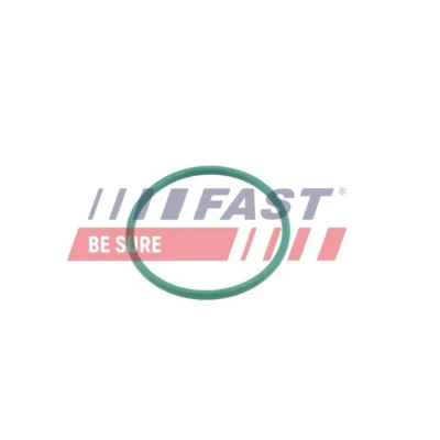 Kuva FAST FT49921 Tiivisterengas, ahtoilmaletku FORD: Focus C Max, CITROËN: C5 III Farmari, PEUGEOT: 5008 I, 407 SW