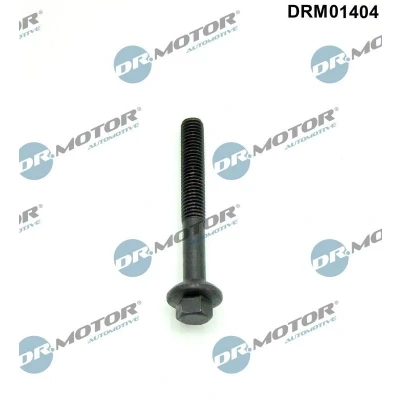 Kuva DR.MOTOR AUTOMOTIVE DRM01404 Ruuvi Ruiskutussuutinpidike DACIA: Duster SUV