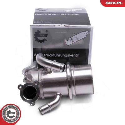Kuva ESEN SKV 14SKV243 EGR Venttiili AUDI: A3 Sportback