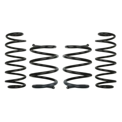 Kuva EIBACH Pro Kit E10 75 010 05 22 Madallusjouset