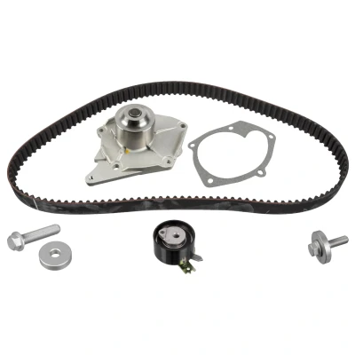 Kuva FEBI BILSTEIN 173039 Vesipumppu + Jakohihnasarja Vesipumpulla 123 RENAULT: MEGANE 2 Kombi, Stufenheck, 3 Grandtour, DACIA: Duster SUV