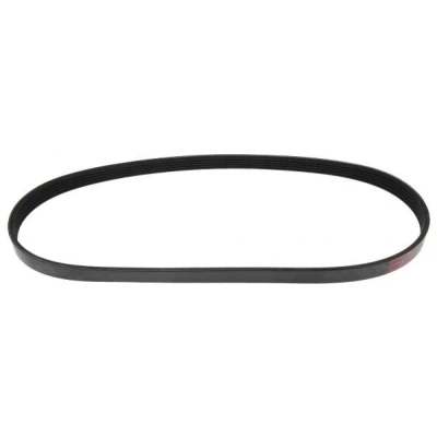 Kuva MAPCO 250875 Moniurahihna 875 5 RENAULT: CLIO 2, FORD: MONDEO 2 Kombi, ESCORT 7, ALFA ROMEO: Spider
