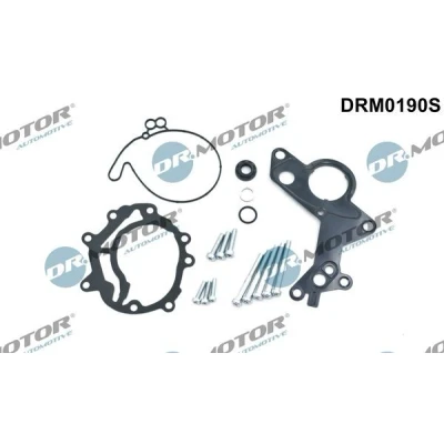 Kuva DR.MOTOR AUTOMOTIVE DRM0190S Alipainepumppu korjaussarja VOLKSWAGEN: Multivan 5 (7HM, Transporter 5, Passat B6 Variant, SKODA: Octavia 2 Combi