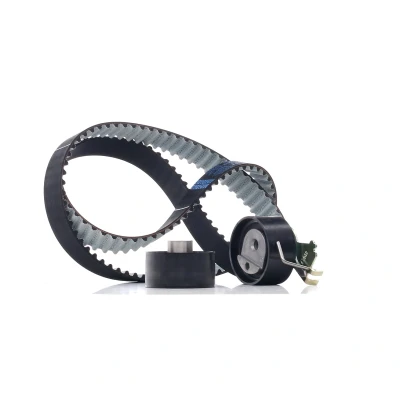 Kuva FEBI BILSTEIN 31051 Jakohihnasarja 135 PEUGEOT: 307 Hatchback, Farmari, 207 Hatchback