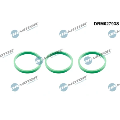 Kuva DR.MOTOR AUTOMOTIVE DRM02793S Tiivistesarja, Imusarja AUDI: A6 C7 Avant