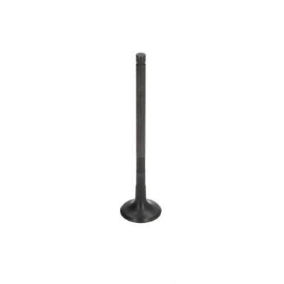 Kuva FRECCIA R6476/RNT Pakoventtiili 24 Venttiilivarsi nitrattu