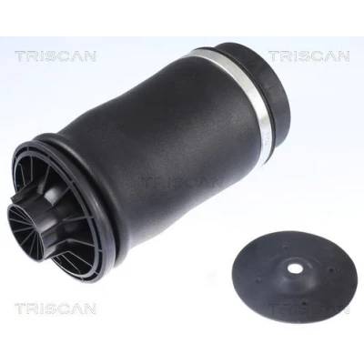 Kuva TRISCAN 8720 23204 Ilmajousi, Jousitus MERCEDES BENZ: E sarja T modell, ML sarja, GL