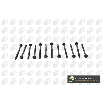 Kuva Sylinterikannen pulttisarja volvo OE 30777636(x12)