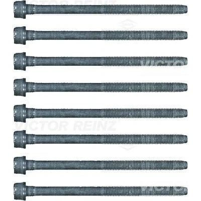 Kuva REINZ 14 17428 02 Kannen Pultit Torx, sisä